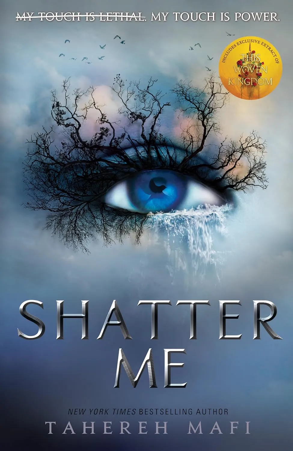 Electric Monkey Shatter Me